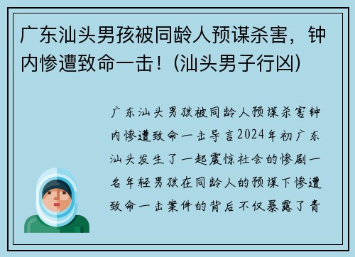广东汕头男孩被同龄人预谋杀害，钟内惨遭致命一击！(汕头男子行凶)