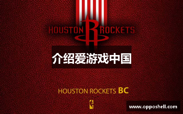 介绍爱游戏中国