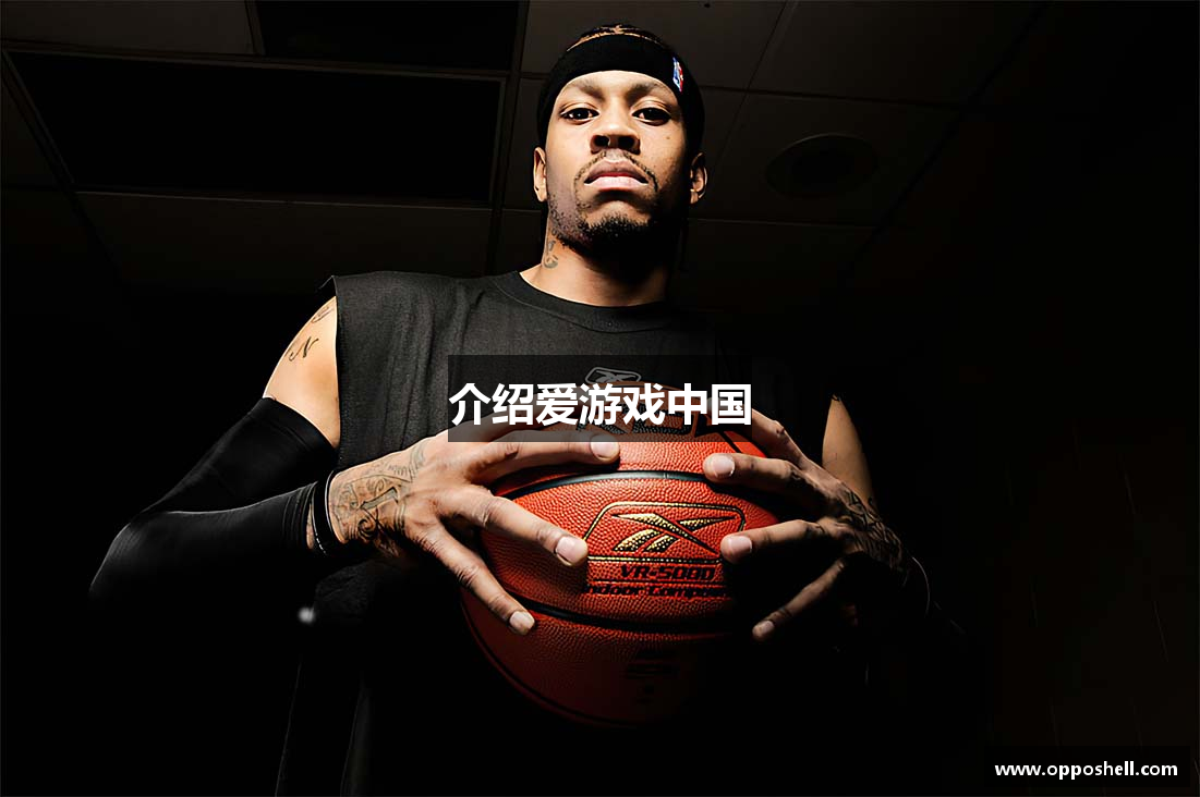 介绍爱游戏中国